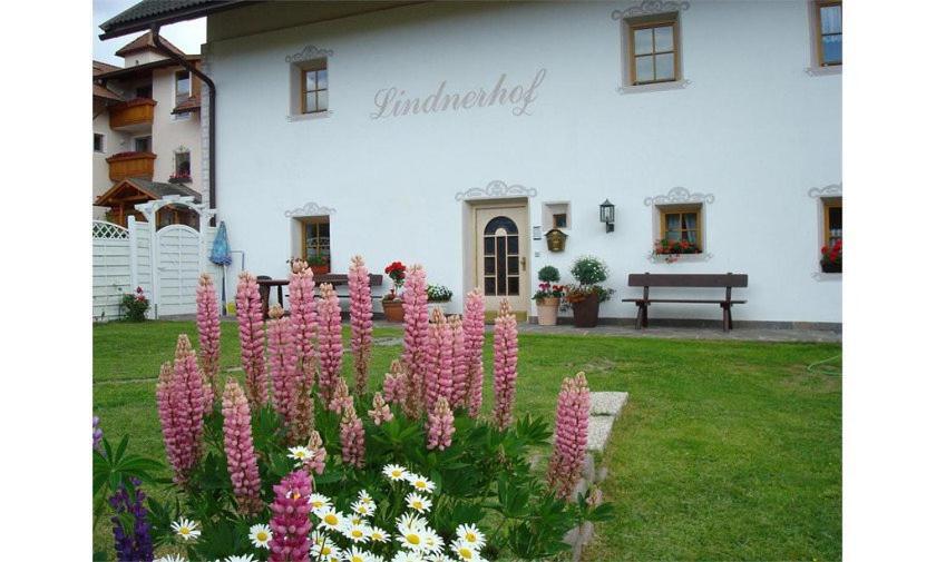 Lindnerhof Urlaub Am Bauernhof Otel San Lorenzo di Sebato Dış mekan fotoğraf
